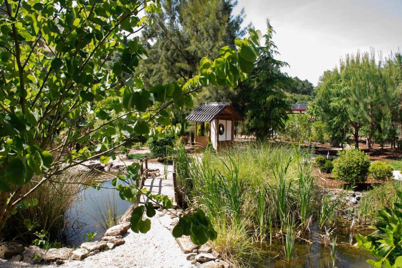 Quinta Japonesa Bed and Breakfast Carvalhal Bemfeito Eksteriør billede