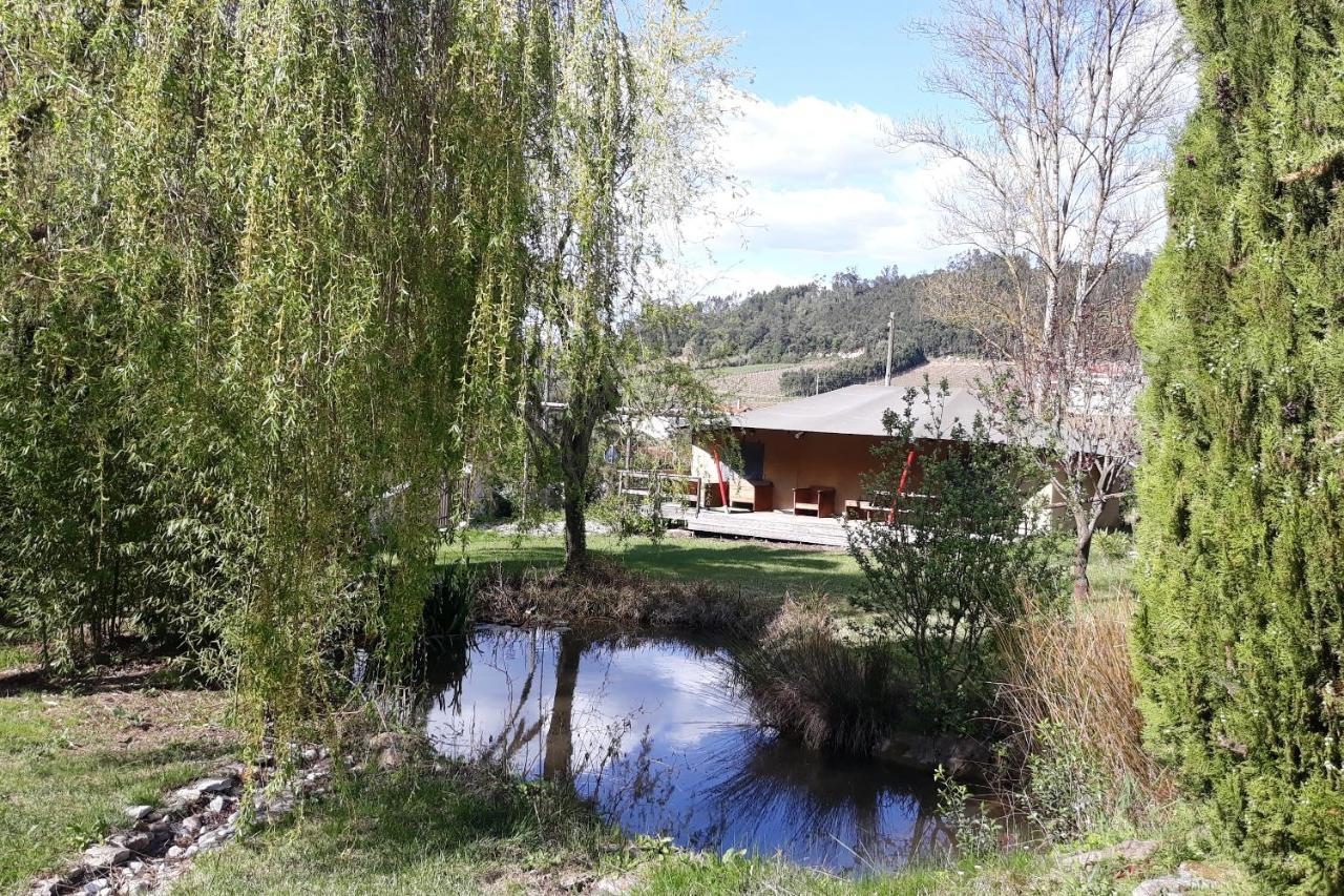 Quinta Japonesa Bed and Breakfast Carvalhal Bemfeito Eksteriør billede