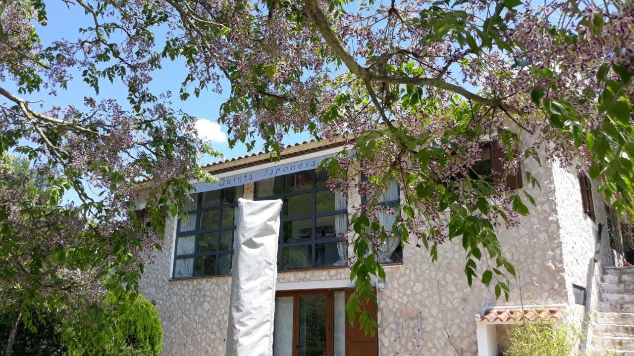 Quinta Japonesa Bed and Breakfast Carvalhal Bemfeito Eksteriør billede