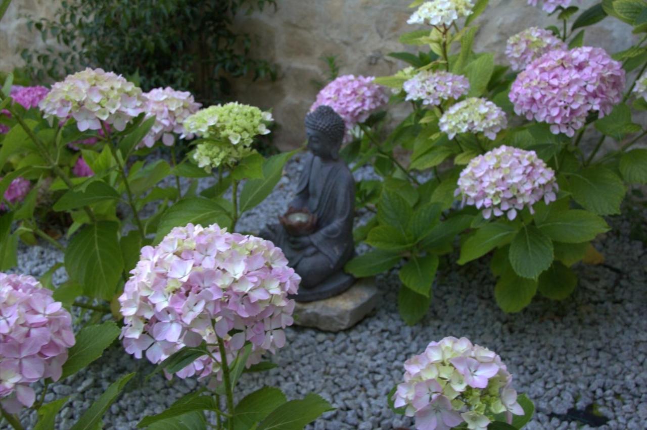 Quinta Japonesa Bed and Breakfast Carvalhal Bemfeito Eksteriør billede